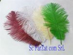 Pene albe de strut de 15-25 cm - imagine 5