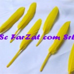 Pene decorative de porumbel galbene