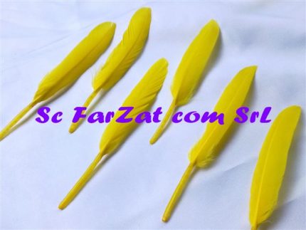 Pene decorative de porumbel galbene