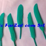 Pene decorative de porumbel culoare verde turcoaz