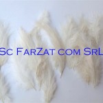 Pene decorative lebada ivoire