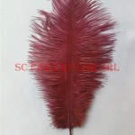 Pene grena de strut de 15-25 cm