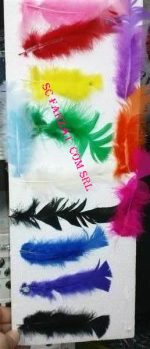 Pene decorative de cocos - imagine 3