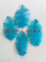 Pene de strut 15-25 cm - imagine 4