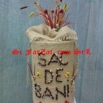 Sac de bani