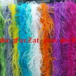 Sal cu pene de strut