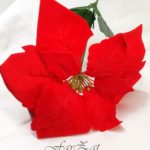 Craciunita decorativa cod 5