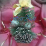 braduleti-decor-craciun-2