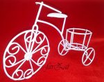 Bicicleta marturie