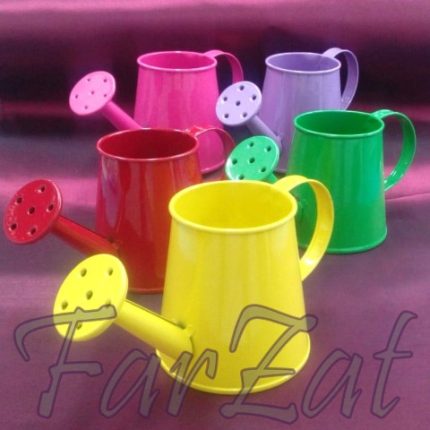 Stropitoare decorativa