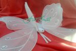 aripi de fluture (2)