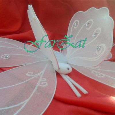 aripi de fluture (2)