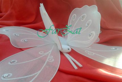 aripi de fluture (2)