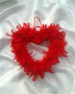 inimioare din pene (1)