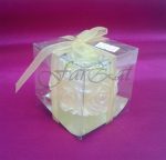 lumanare marturie (1)