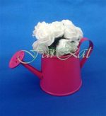 stropitoare decorativa (1)