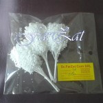 ramurele cocarde (3)