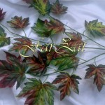 flori cod 19 poze brute (1)