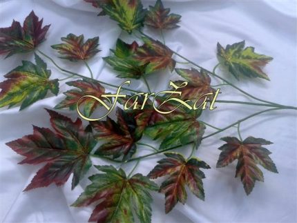 flori cod 19 poze brute (1)