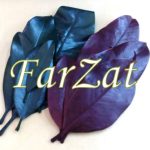 Frunze naturale magnolie