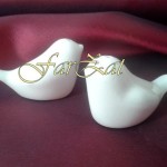 marturie solnita (3)