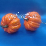 Dovlecel decorativ pe bat