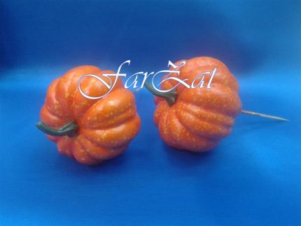 Dovlecel decorativ pe bat