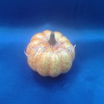 Dovlecel decorativ - Model 1