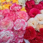 Flori artificiale cod 28 - Garoafe