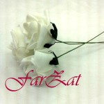 Flori pentru cocarde cod 5