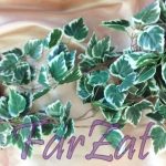 Ghirlande frunze - cod 35 - imagine 2