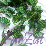 Ghirlanda frunze artificiale - Cod 67 - imagine 3