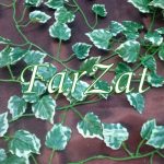 Ghirlanda artificiala frunze cod 44 - imagine 2