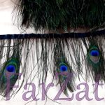 Banda cu pene de paun