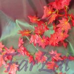 Ghirlanda frunze toamna cod 46