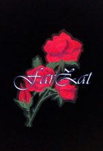 Aplicatii hotfix - Cod 12 - Cod 15 - imagine 2