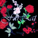 Aplicatii hotfix - Cod 12 - Cod 15