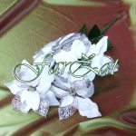 Buchet de craciunite - imagine 3