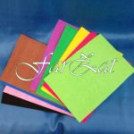 Coala gumata catifelata - imagine 2