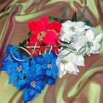 Buchet de craciunite