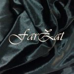 Catifea elastica neagra - imagine 3