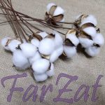 Floare de bumbac - imagine 2