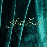 Catifea elastica - verde brad