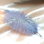 Pene de strut gri 15 cm - 25 cm - imagine 3