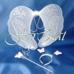 Set aripi ingeras - imagine 2