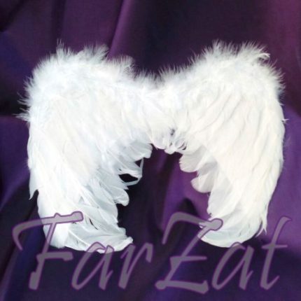 Aripi de inger - Cod 12