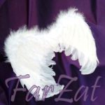 Aripi de inger - Cod 12 - imagine 2