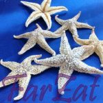 Stele de mare decorative. - imagine 3