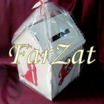 Casute de dar cod 27 - imagine 5