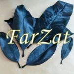 Frunze naturale magnolie - imagine 3